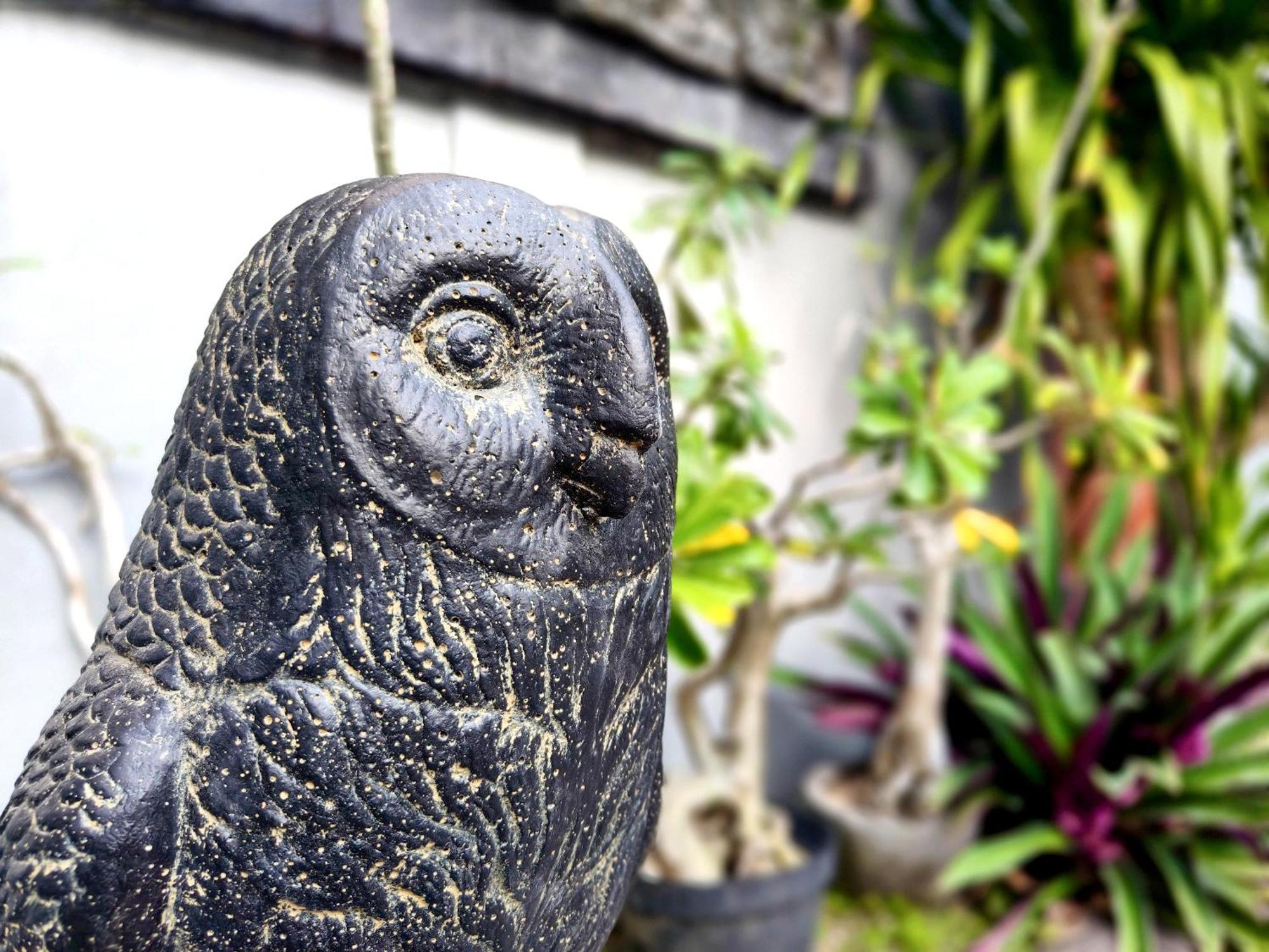 Bed and Breakfast Panda Lumbung Sanur Zewnętrze zdjęcie