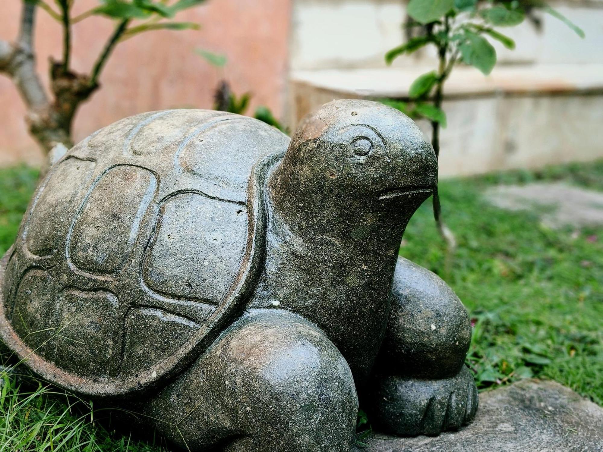 Bed and Breakfast Panda Lumbung Sanur Zewnętrze zdjęcie