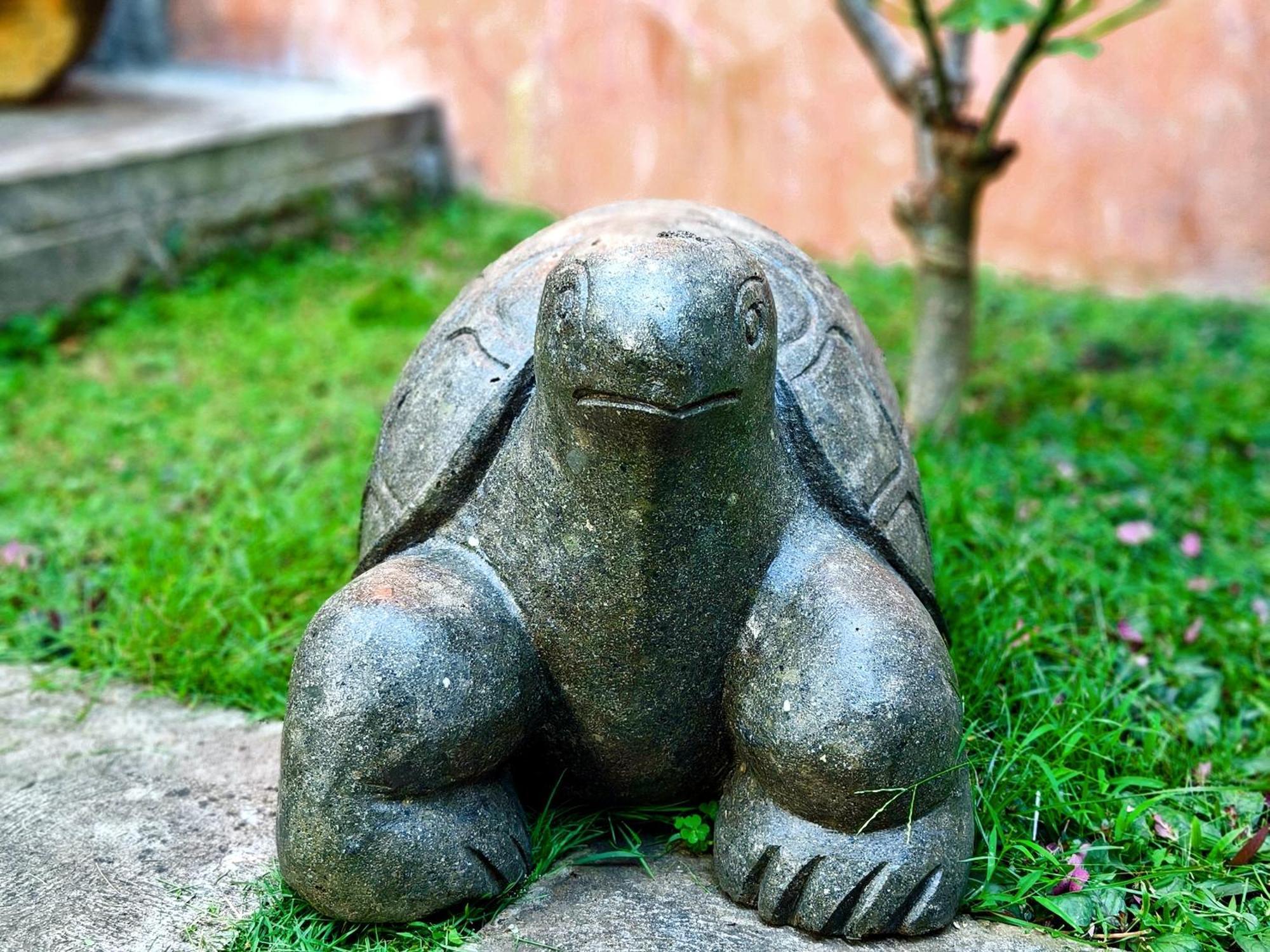 Bed and Breakfast Panda Lumbung Sanur Zewnętrze zdjęcie